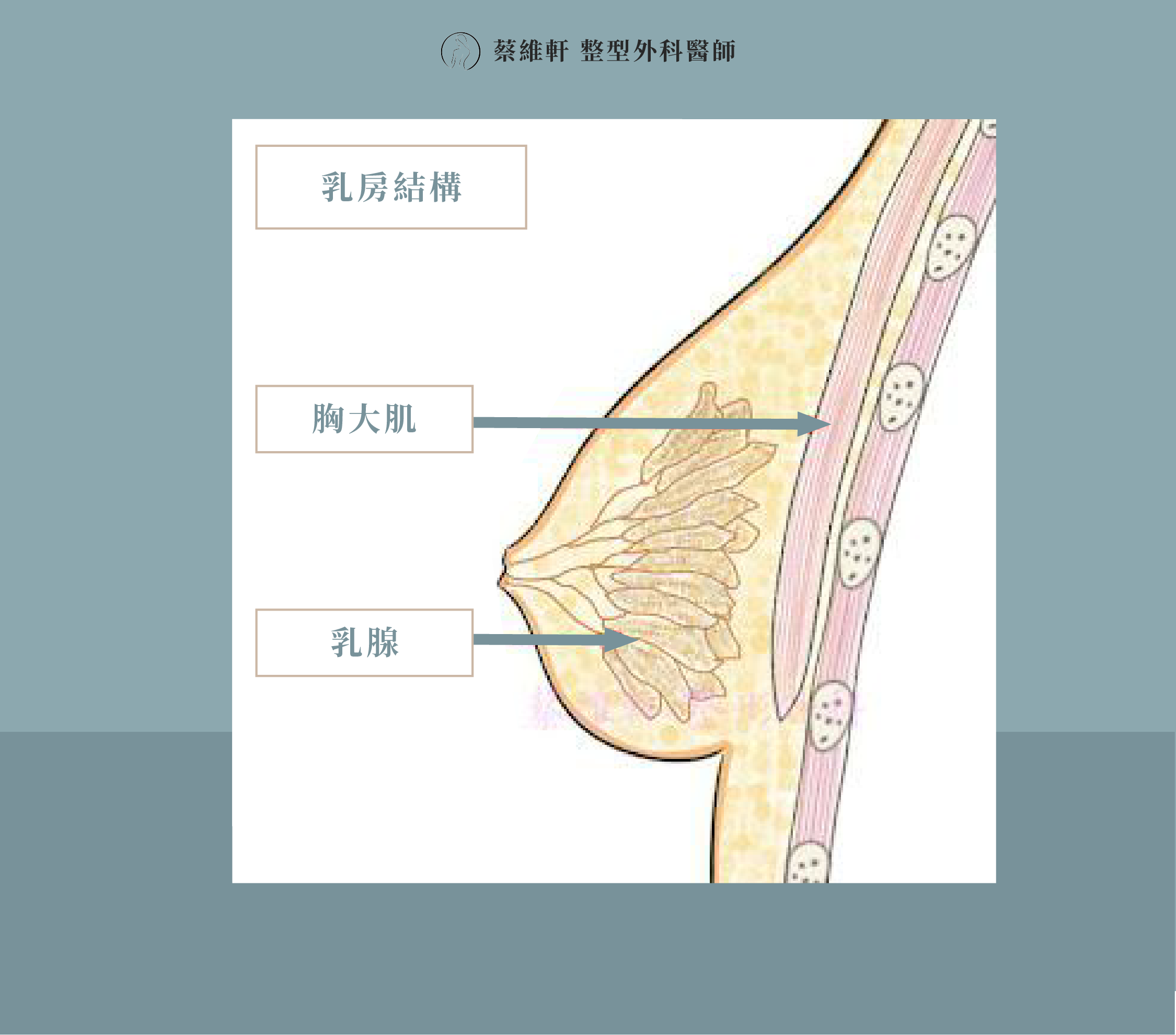 網站圖 隆乳全解析 P5 V1